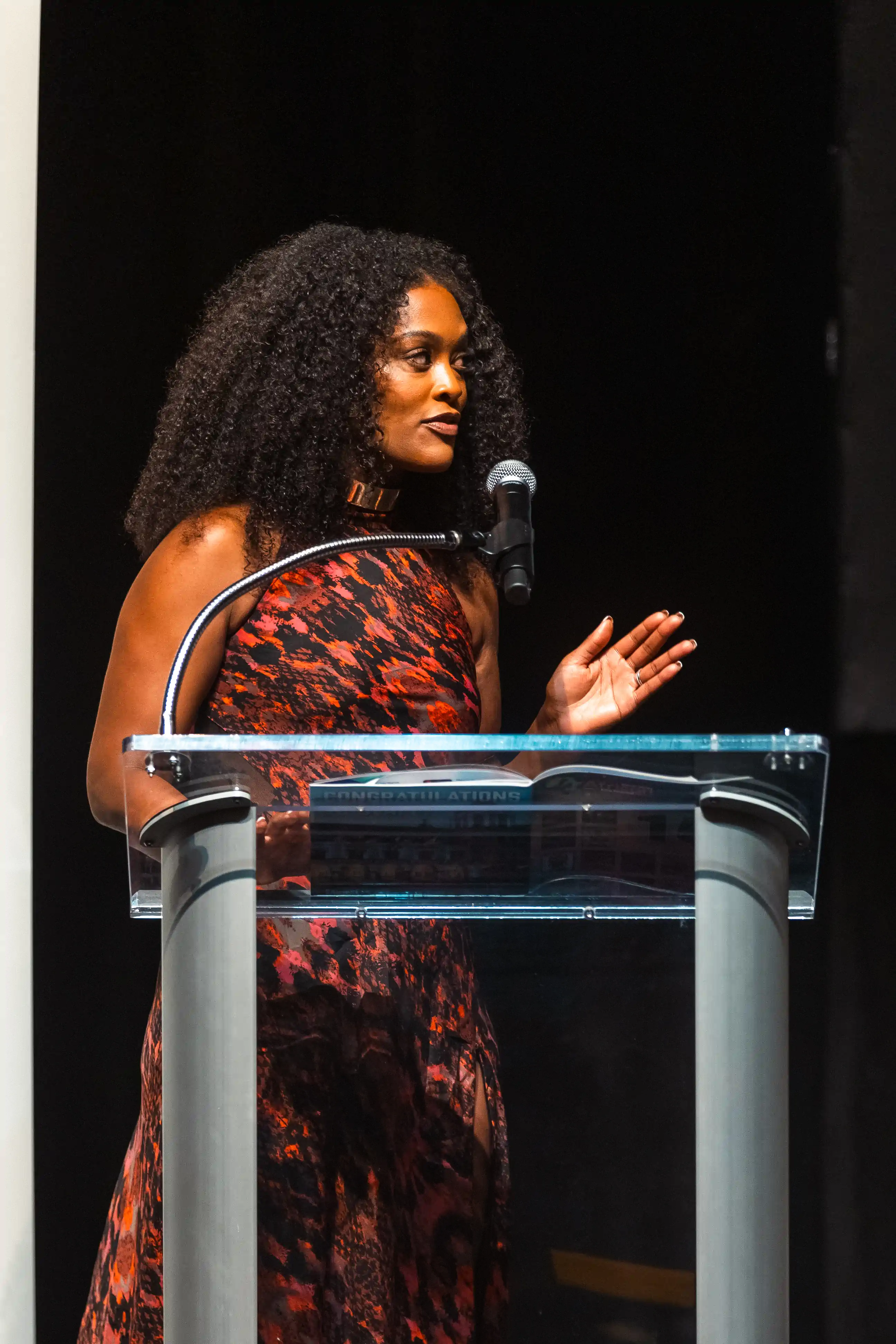 Awards Night photo 136